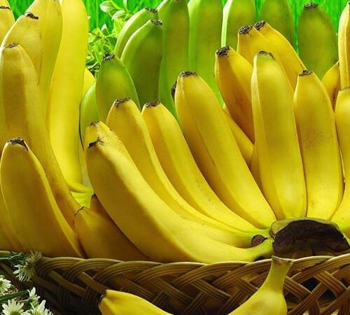 Chuối tiêu hồng - Đặc sản Hưng Yên