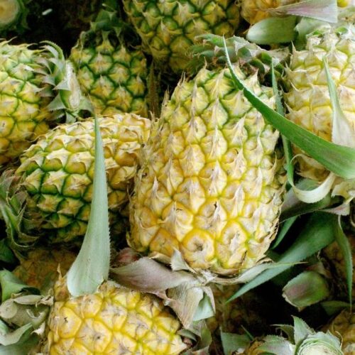 Dứa Đồng Giao - Đặc sản Ninh Bình