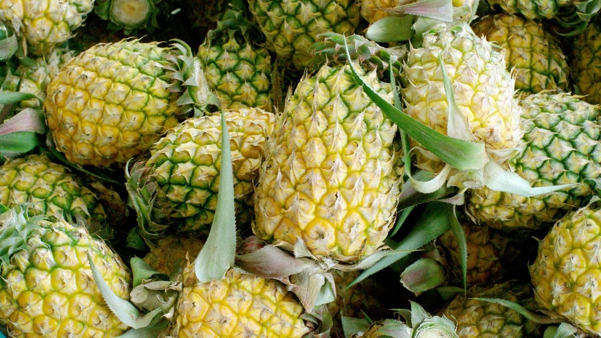 dac-san-ninh-binh-10