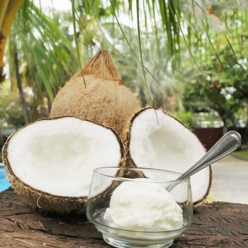 Dừa sáp Trà Vinh