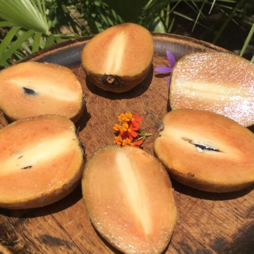 Hồng xiêm Xuân Đỉnh - Đặc sản Hà Nội