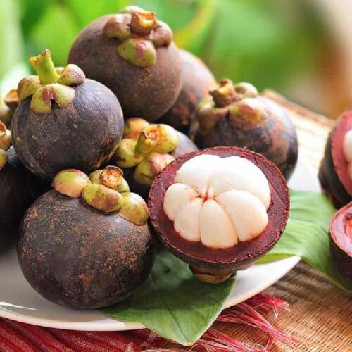 Măng cụt Lái Thiêu - Đặc sản Bình Dương