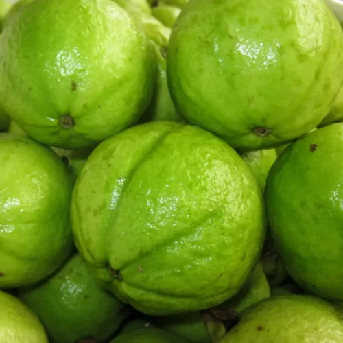 Ổi Đông Dư - Đặc sản Hà Nội