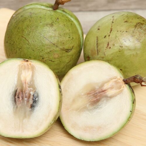 Vú sữa lò rèn Vĩnh Kim – Đặc sản Tiền Giang