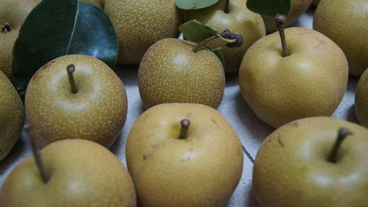 1582624675-696-thumbnail_schema_article