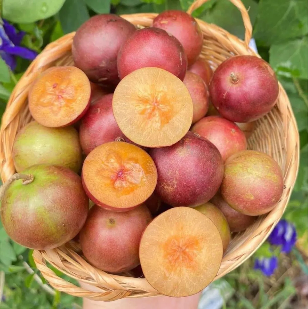 3-1f7086c7-dc02-4a7d-8df7-cfd337e09515