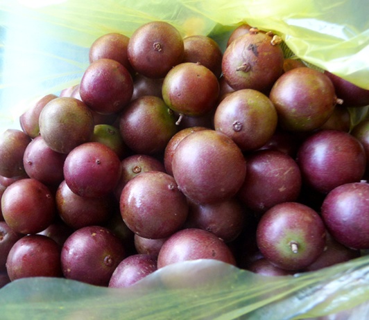 56fe3f77-8dfe-4c26-8328-b589adad8125