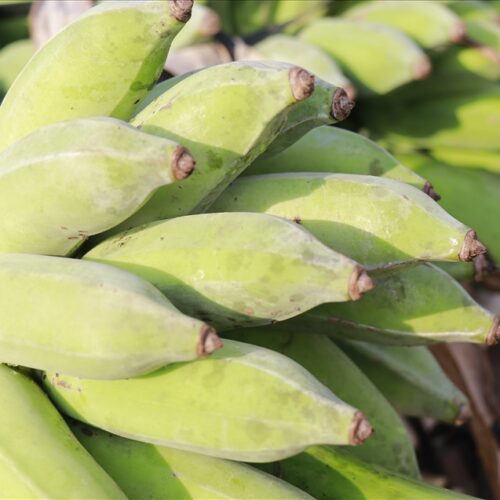 Chuối mật mốc - Đặc sản Quảng Trị