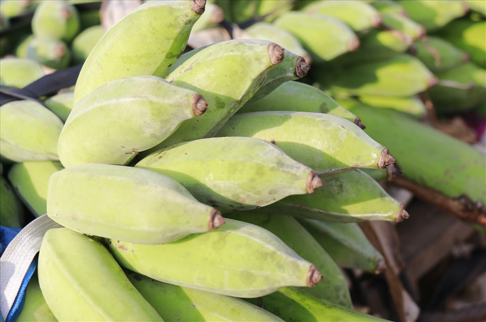 Cho-Chuoi-Quang-Tri--02