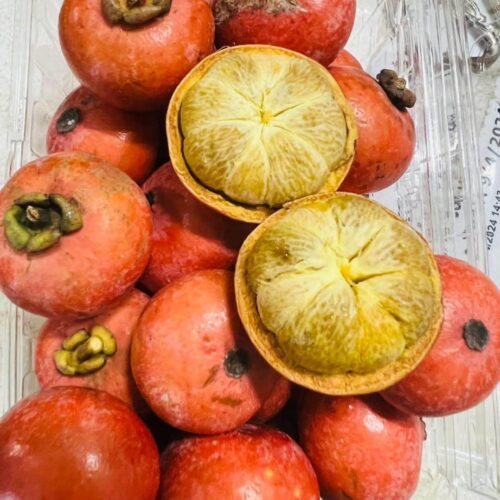 Trái bứa Quảng Ngãi