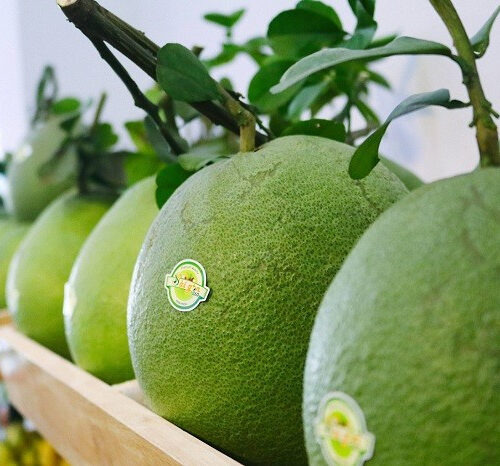 Bưởi da xanh Vũng Tàu