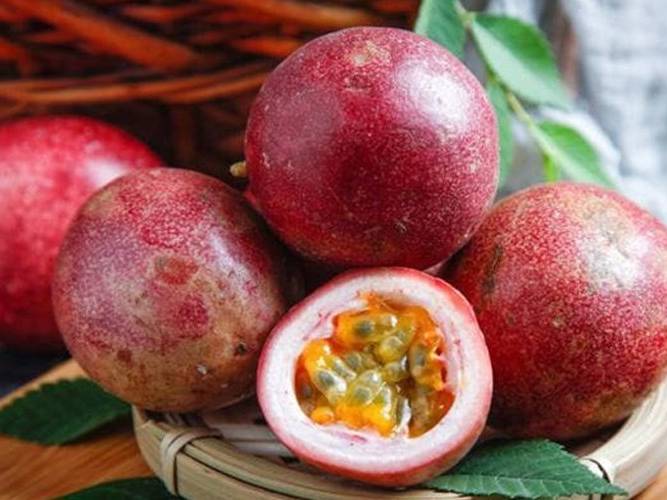 chanh-day-cay-trieu-do-cua-dong-bao-gia-lai_64dfa97b7ccb9