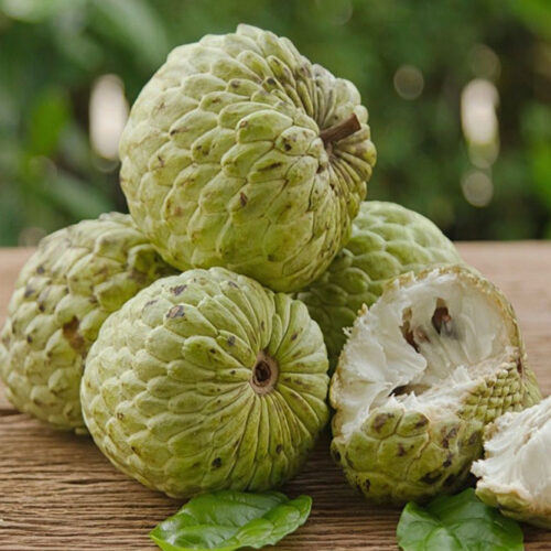 Mãng Cầu Bà Rịa