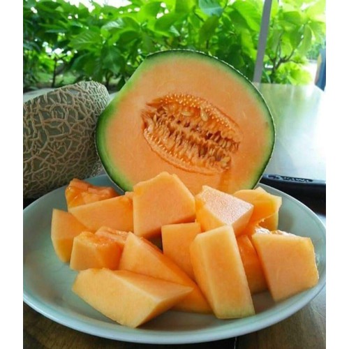 Dưa lưới Đà Lạt