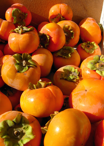 Hồng Đông Lộ Hà Tĩnh