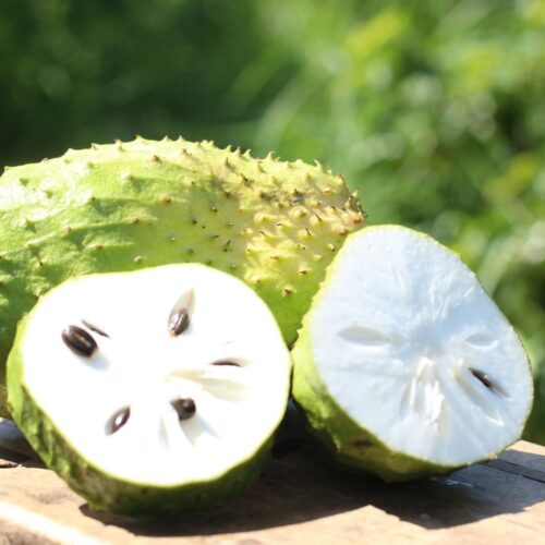 Mãng cầu xiêm Tiền Giang