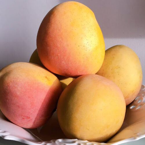 Xoài Úc Cam Lâm - Đặc sản Khánh Hòa